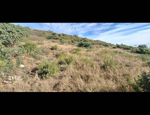 BUSINESS FOR SALE IN VOORBAAI